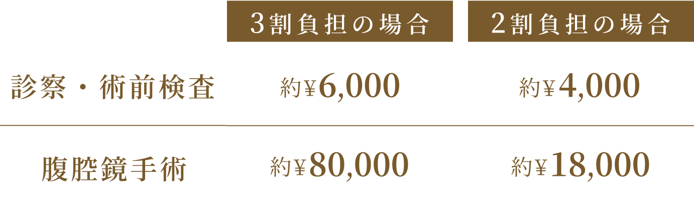 診察・術前検査 3割負担の場合約¥6,000 2割負担の場合約¥4,000 腹腔鏡手術 3割負担の場合約¥¥80,000 2割負担の場合約¥¥18,000
